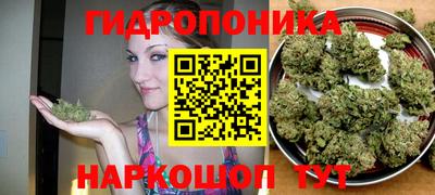 сатива Волжский