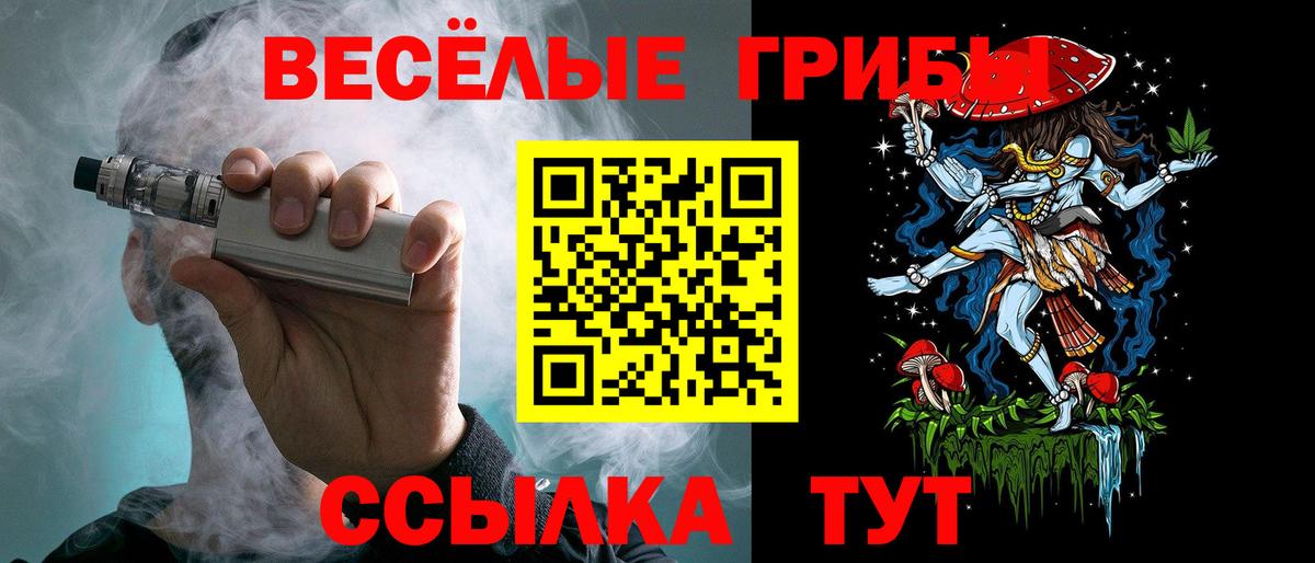 Галлюциногенные грибы Magic Shrooms  Вход с VPN  Сарапул  Псилоцибиновые грибы Psilocybe 